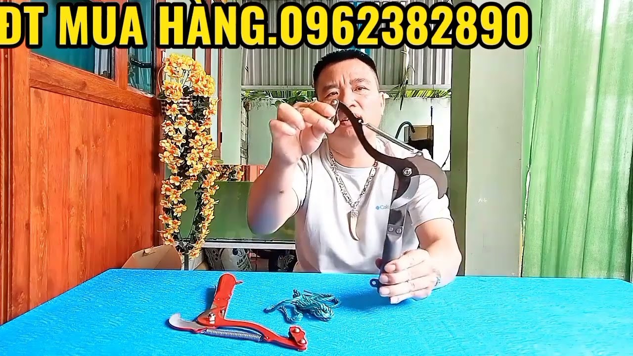 HƯỚNG DẪN CÁCH CẮT TỈA CÀNH CÂY HÁI HOA QUẢ Ở TRÊN CAO QUÁ RỂ DÀNG 