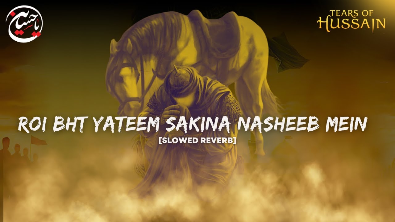 ROI BAHOT YATEEM SAKEENA NASHEB ME' | Soul-Stirring Slow & Reverberated Tribute