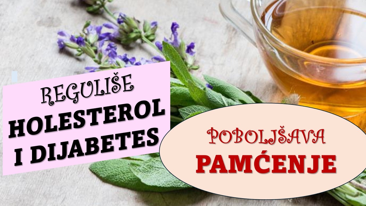 SNAŽNA  BILJKA KOJA ČUVA MOZAK. POBOLJ&Scaron;AVA PAMĆENJE. REGULI&Scaron;E DIJABETES I HOLESTEROL.ŽALFIJA