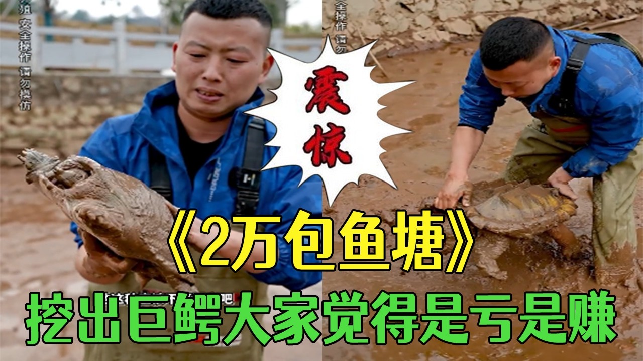 花2萬包下的魚塘，挖出巨鳄大家覺得是虧了還是賺了？#小飛哥#三農 #我的鄉村生活 #新農人計劃2026#我要上熱門