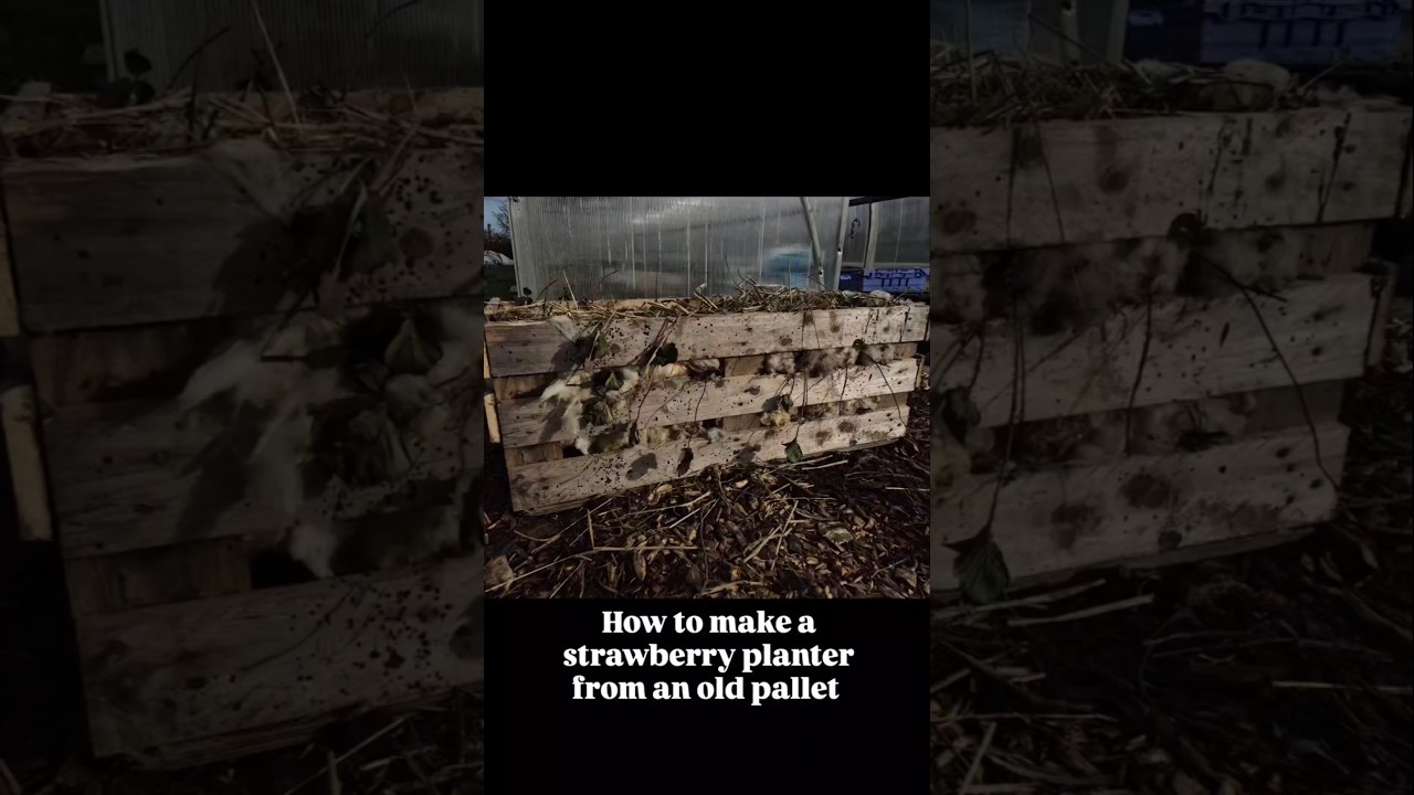 how to make a strawberry planter  out of old pallets