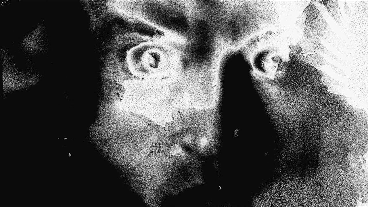 Fat Chance &ndash; trailer | IFFR 2021