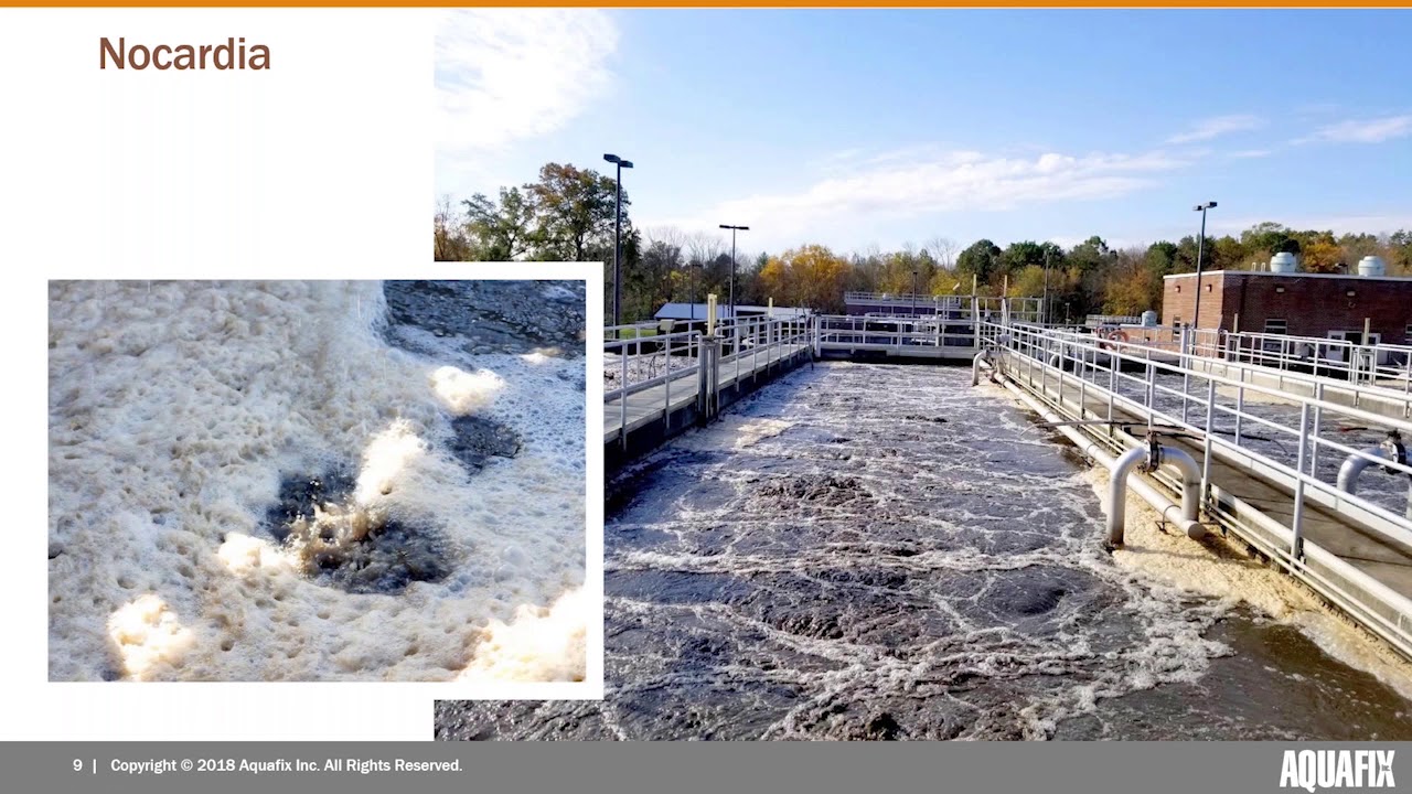 Webinar: Eliminating Foam Causing Filaments