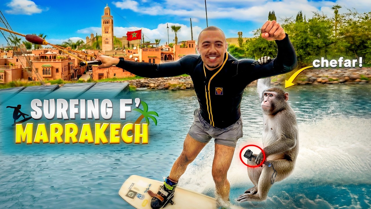 UN SINGE ME VOLE MA CAMÉRA !?