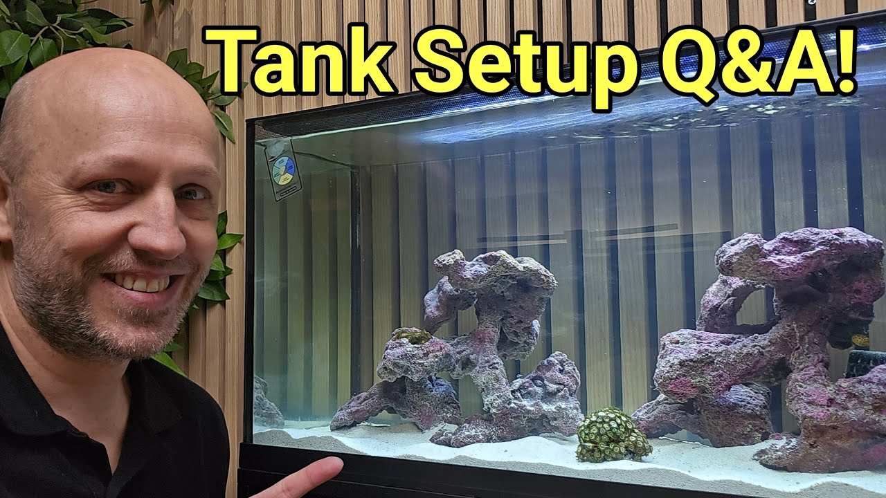 TMC First Wave 78 Setup Q&A Session!