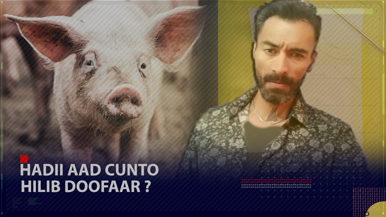 Maxaa Dhacaayo hadii aad cunto Hilib Doofaar ? | Ninkaan Maxaa Ku Dhacay ?