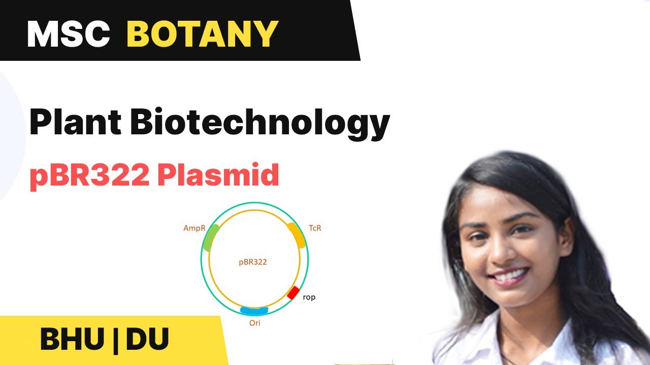 Cloning Vector |Selectable marker| pBR322 plasmid |  BHU DU MSc Entrance | In Hindi