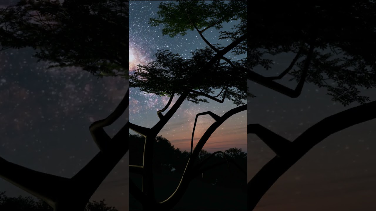 ANSI x vidin - Among Stars | Deep Chill House x Cinematic Erhu #chillhousemix #Erhu #ForestVibes #二胡