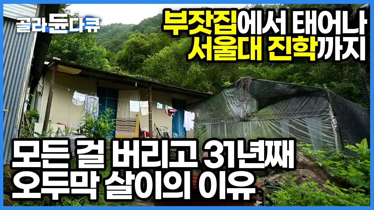 태어날 때부터 주어진 황금빛 인생 행복할 줄 알았겠지만... 31년째 사람을 피해 산꼭대기에 홀로 집을 짓고 사는 여자의 사연┃경남 함양 두지터 오지 산골┃한국기행┃#골라듄다큐
