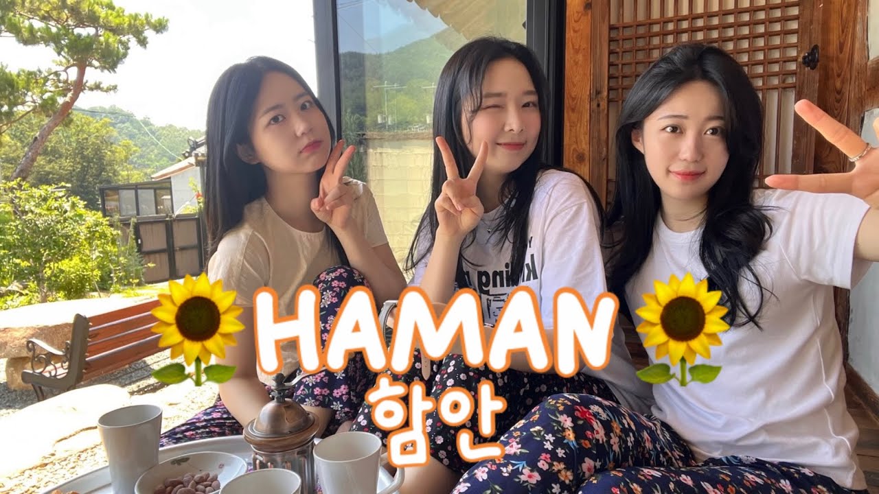 [딘두로그] 농순이들의 함안여행🌻 먹으러 갔냐고요? 넵!ㅣ2025.06.27-28ㅣ소소락락, 탐밀, 카페무진정, 해바라기축제ㅣ경남함안군