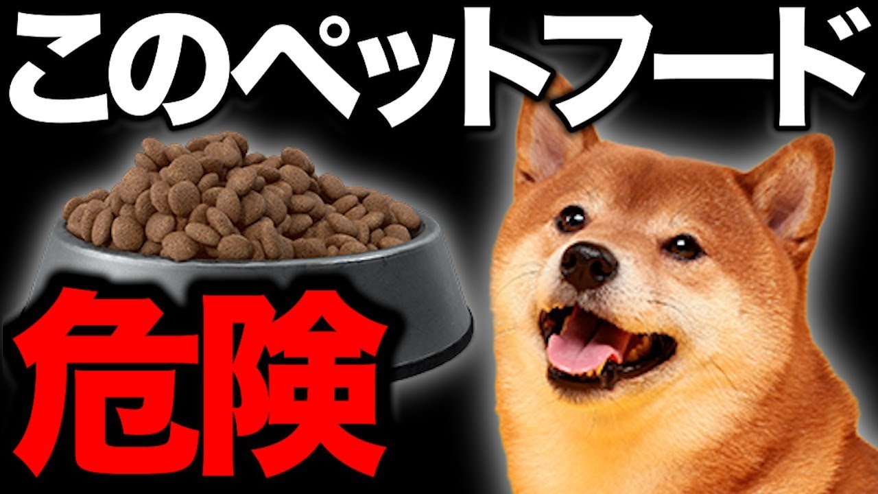 【知らないと危険】ペットの命に関わる！獣医師が絶対に買わないドッグフード