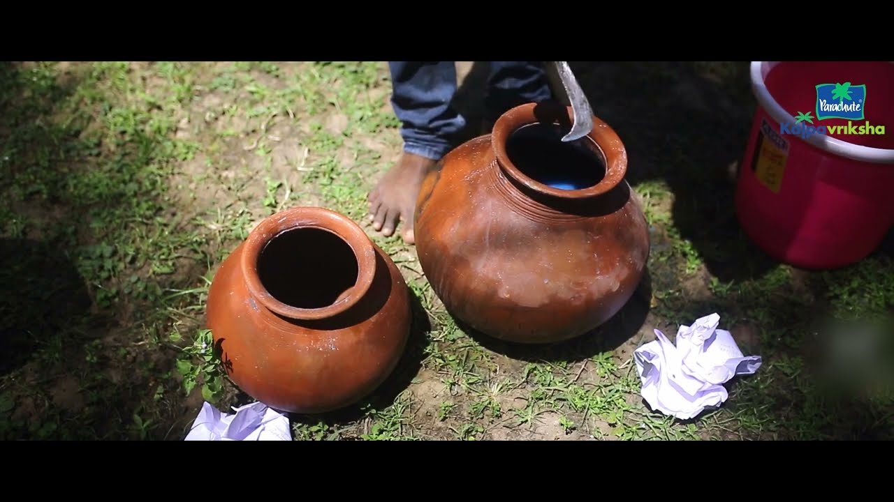 Preparation Of Bordeaux Mixture | Tamil |