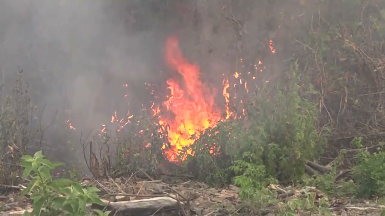 Incendio en volcán de San Salvador