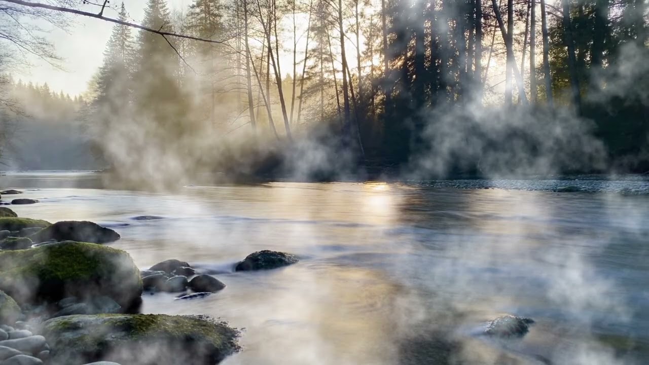 Healing LoFi 🌙 Slow Forest River Flow for Anti-Fever | Deep Rest & Healing