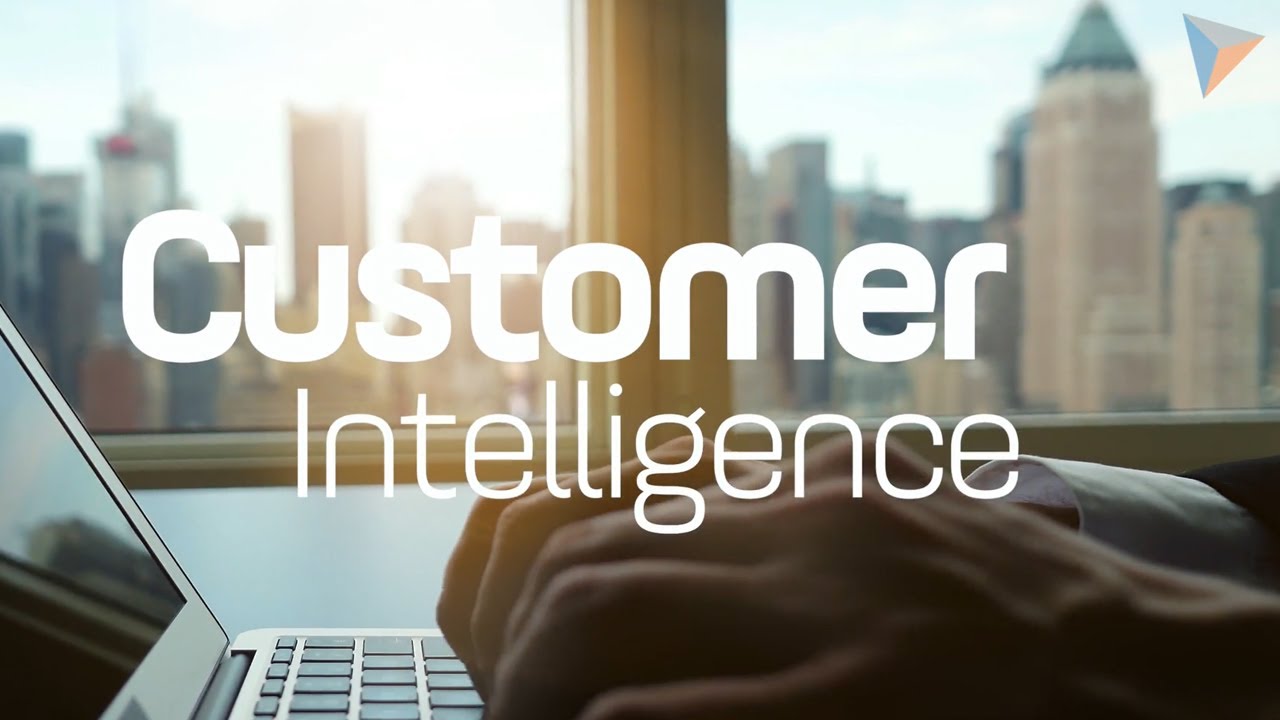 mVISE AG - Webinar zum Thema Customer Intelligence im Finanzsektor