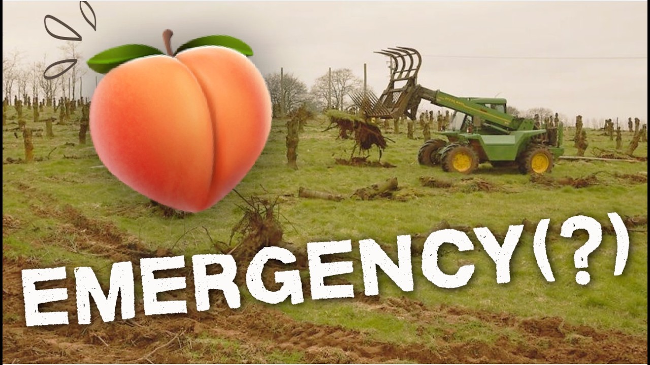 They're Coming For The Peaches?
