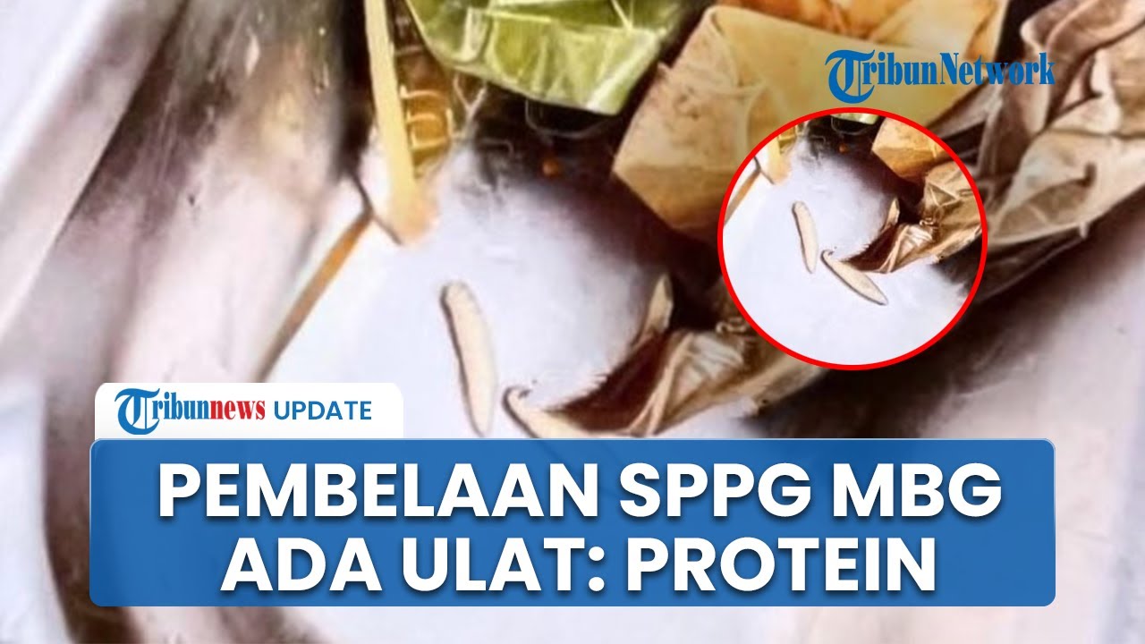 Viral Menu MBG di Bangkalan Ada Ulat, SPPG: Itu Jenis Ulat yang Bisa Dikonsumsi dan Tinggi Protein