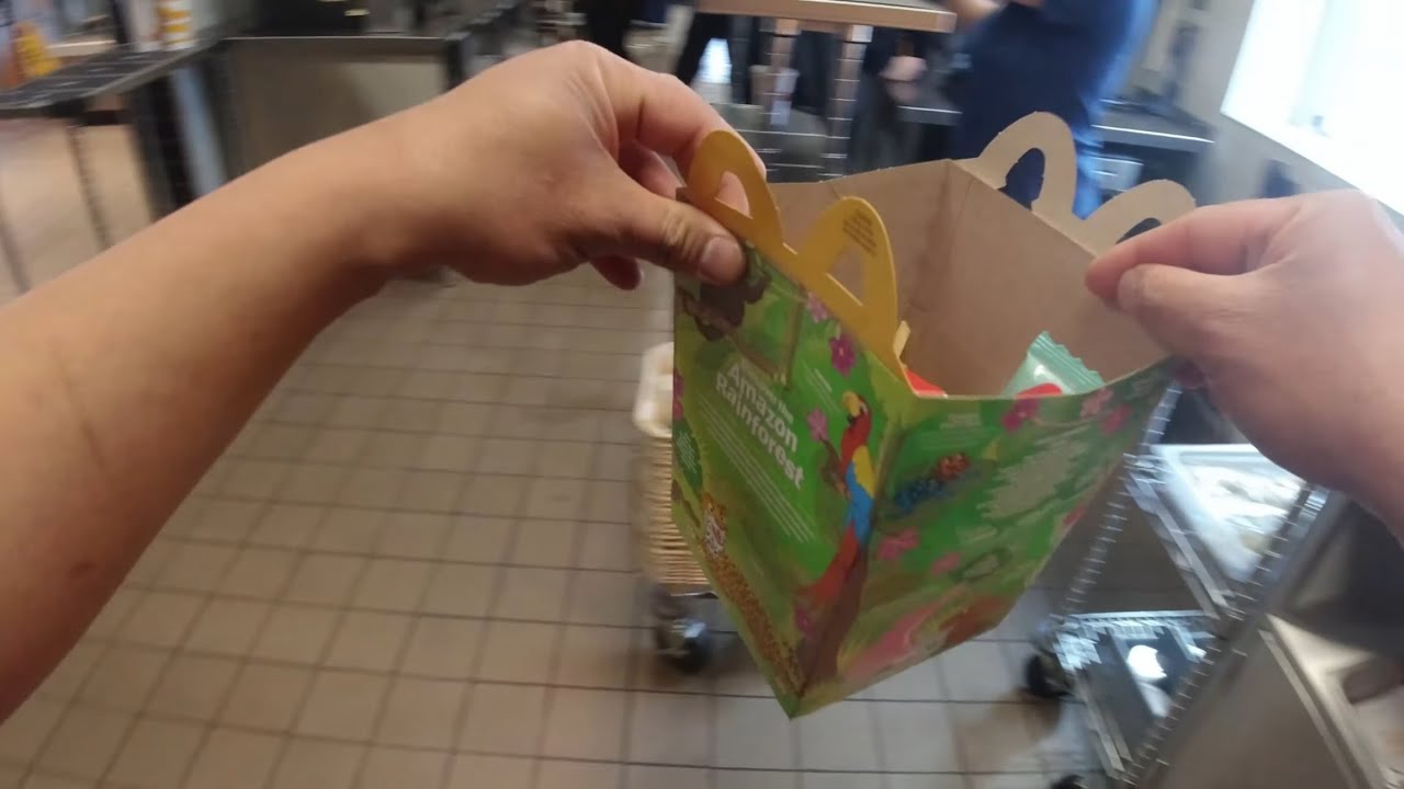 McDonalds POV What's Inside The Happy Meal Box?