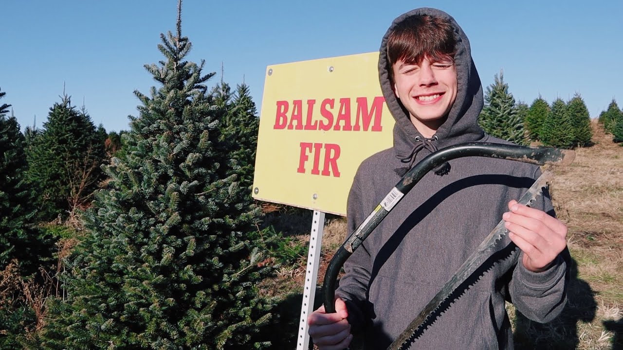 picking out the perfect tree with the Jabs (VLOGMAS DAY 2)