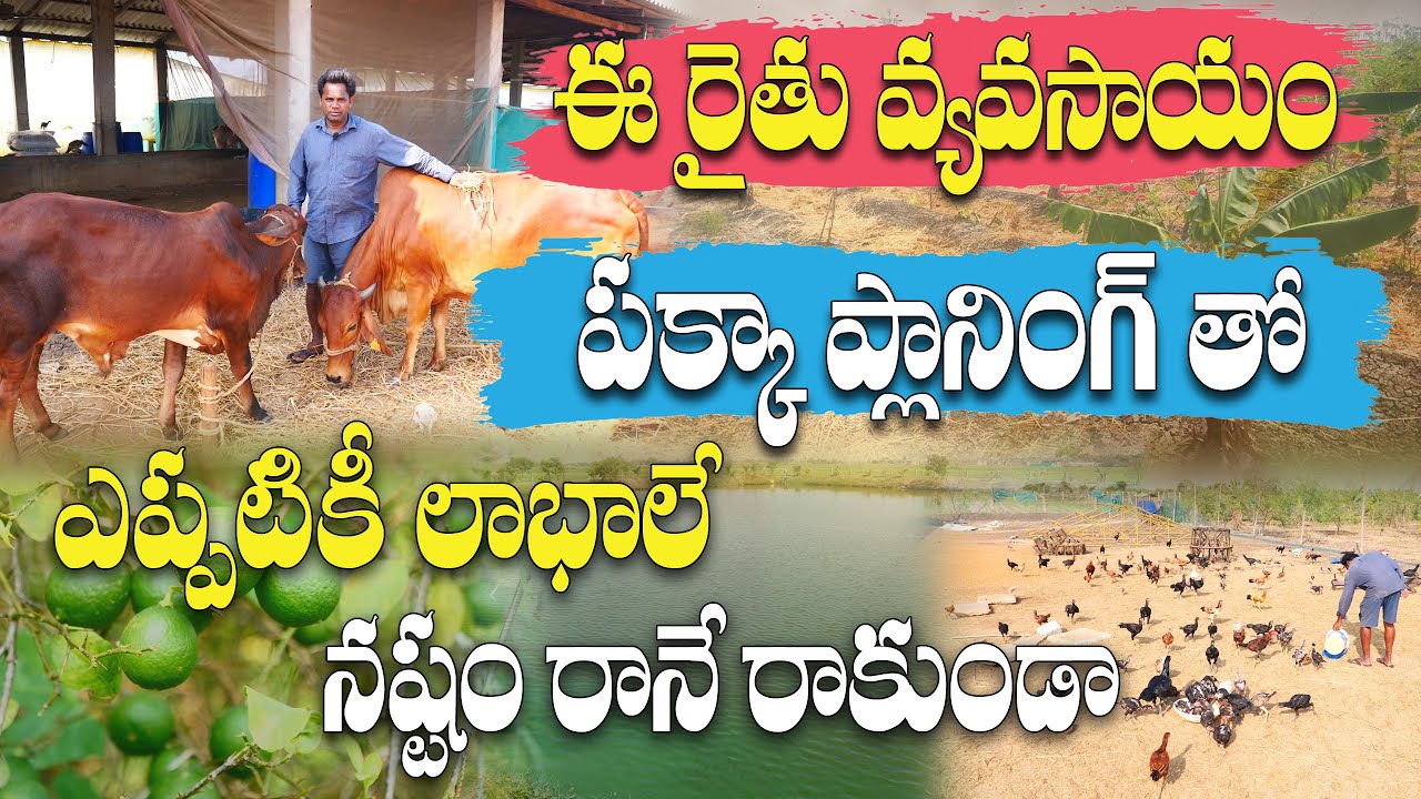 ఒకే క్షేత్రంలో అనేక పంటలు - జీవాలు | Integrated farming | Srinivasa Rao