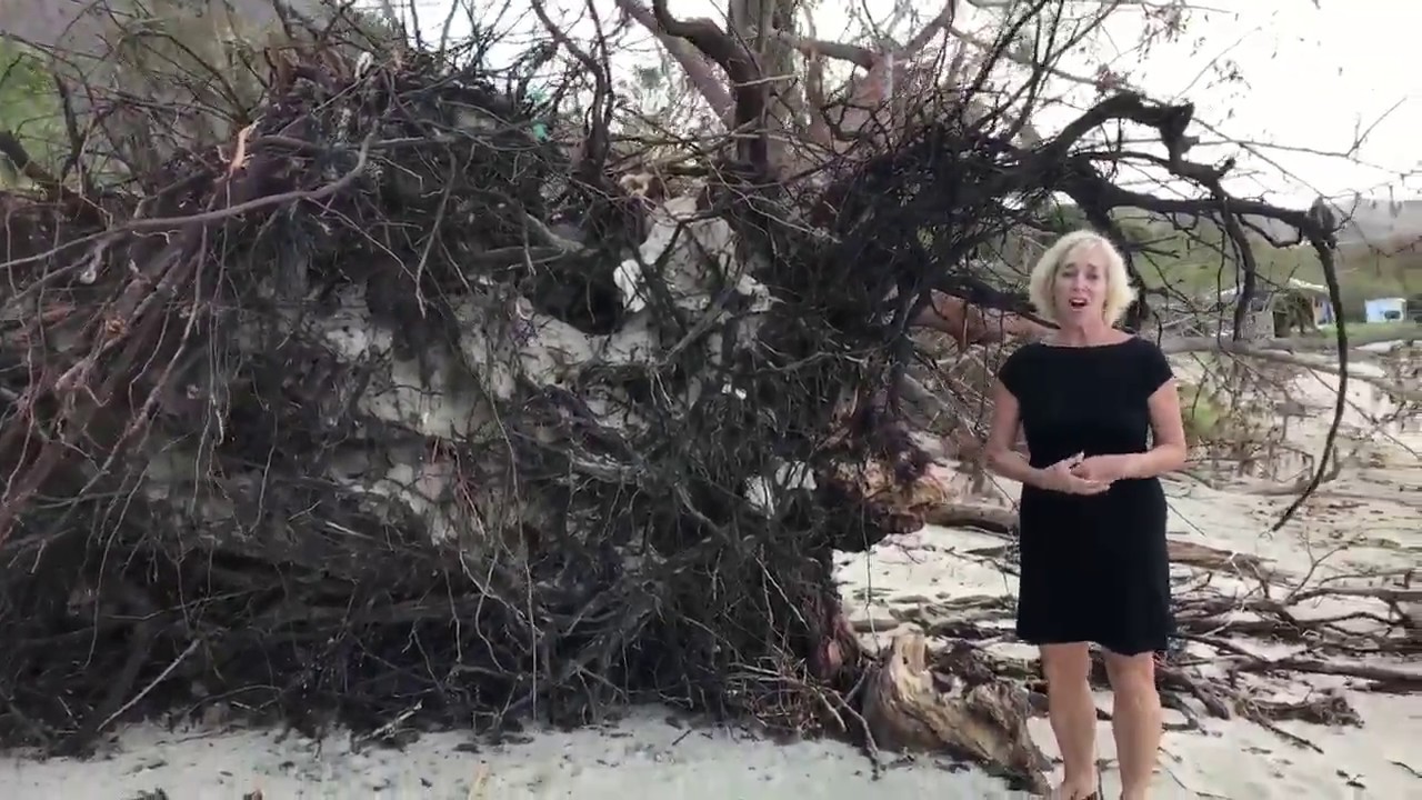 Post Hurricane Maria: Cane Bay St. Croix, USVI