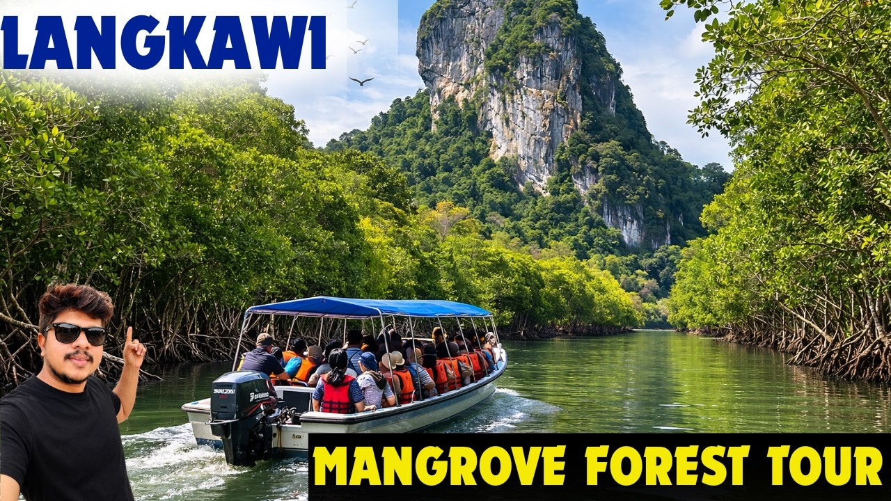 Crocodile’s 🐊 Cave లోపలకి వెళ్ళా 😱 | Mangrove Forest Tour 🇲🇾 | Day 6 Malaysia Solo Trip 