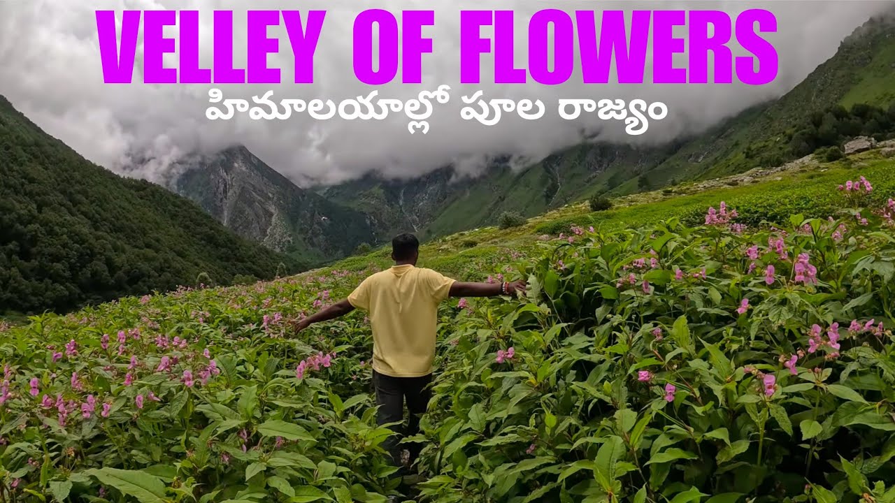 Valley of Flowers: A Walk in Paradise 🌸 | భూలోక స్వర్గం వాలీ ఆఫ్ ఫ్లవర్స్! | My Journey Records