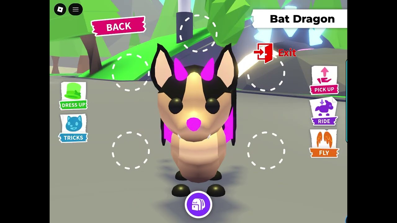 My fav pets in adopt me!