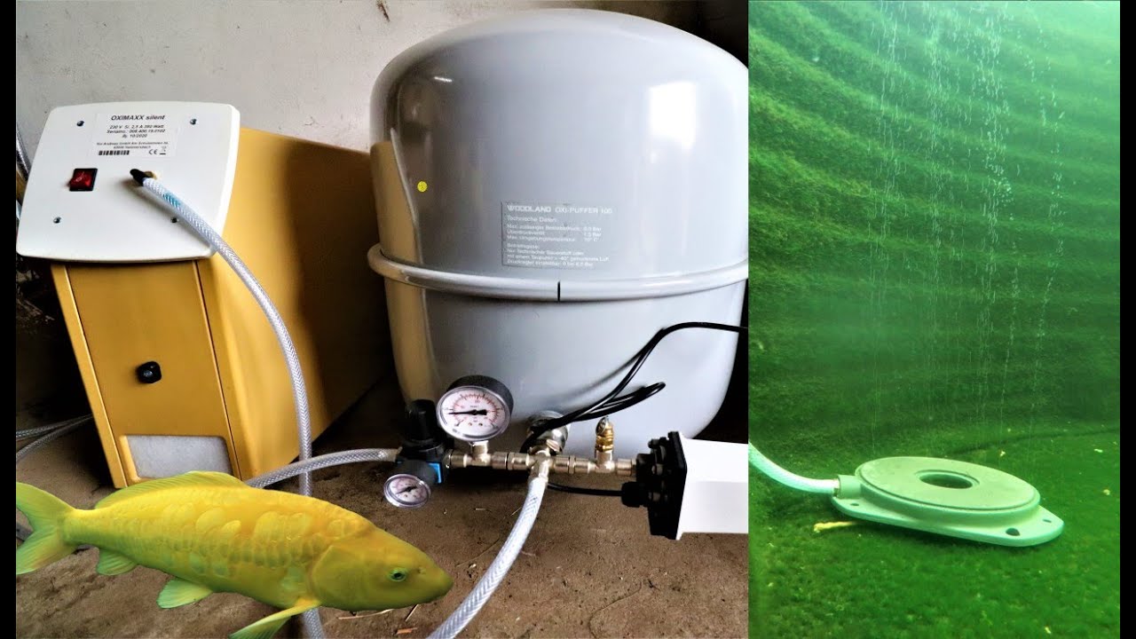 Sauerstoffkonzentrator mit Pufferspeicher am Koiteich