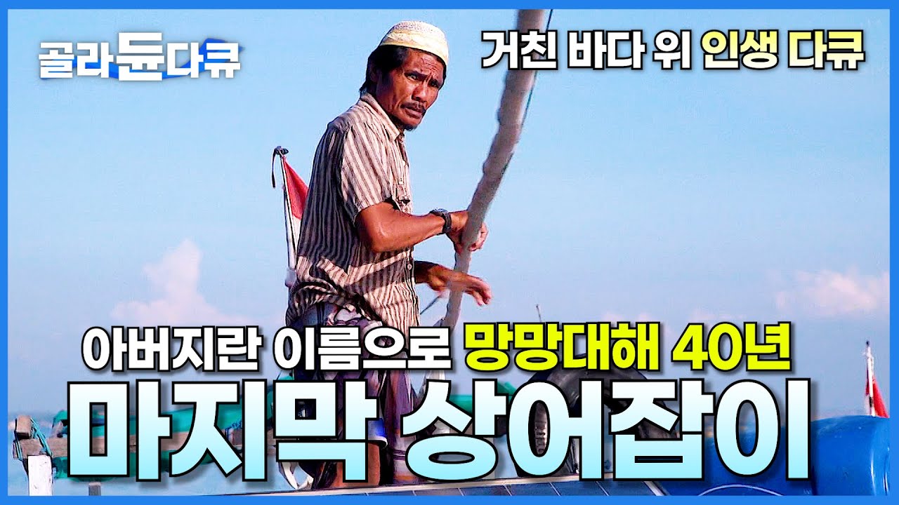 망망대해 40년간 상어와 싸운 남자의 마지막 항해│명작 다큐 영화│길 위의 인생│#골라듄다큐
