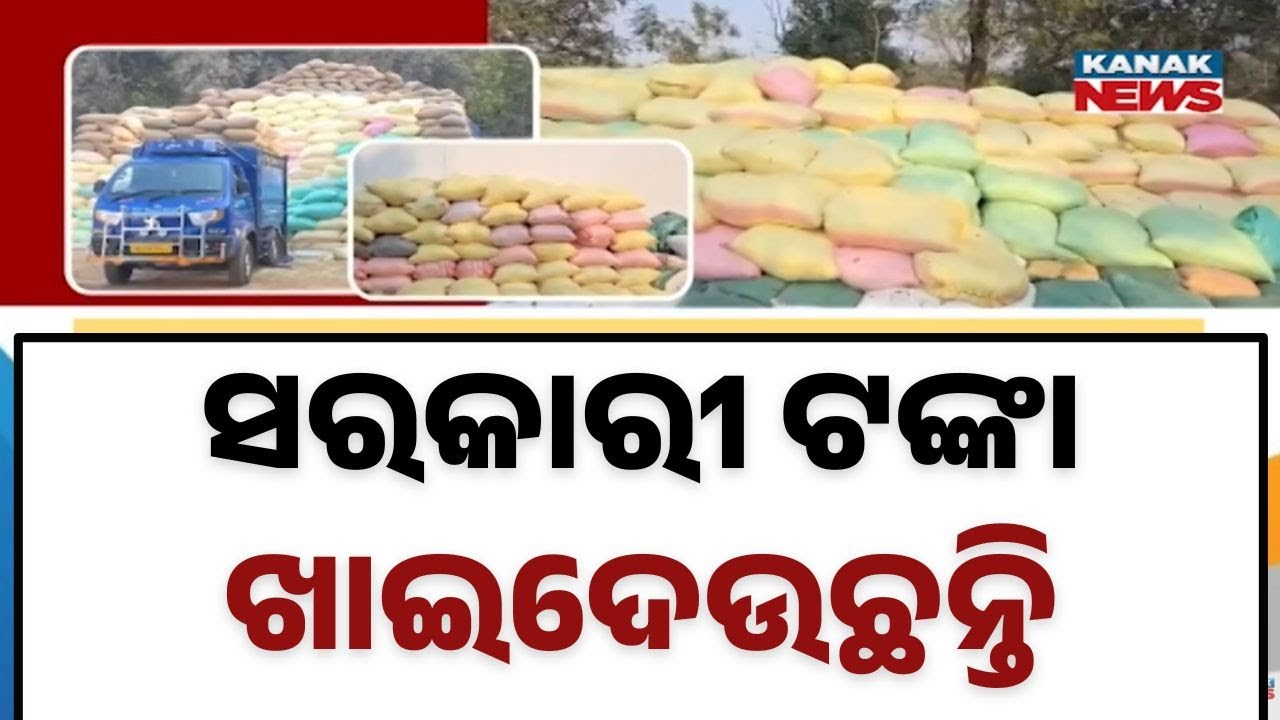 Farmers Suffer After Calamities | Paddy Lying in Open Fields, Rules Violated in Ganjam