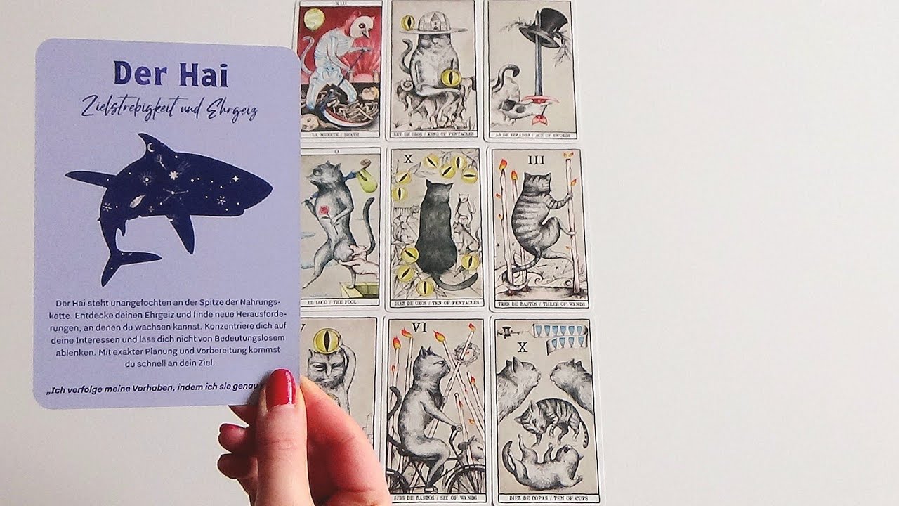 Jemand hat sich geändert & will dich mit all seiner Kraft zurückerobern🌟Wochenende vom 20.-22.02.26🌟