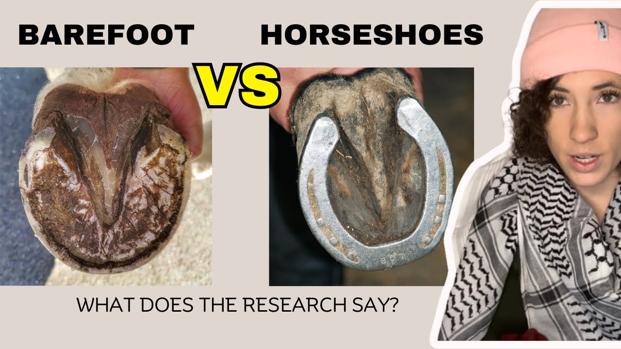 Barefoot Vs Shod: What Does Scientific Research Say About Horseshoeing Practices?