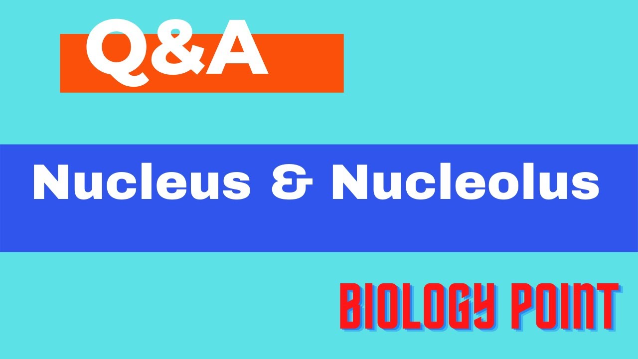 TEST SERIES-20 || MCQs On Nucleus - Cell Biology || Important Question of Nucleus and Nucleolus
