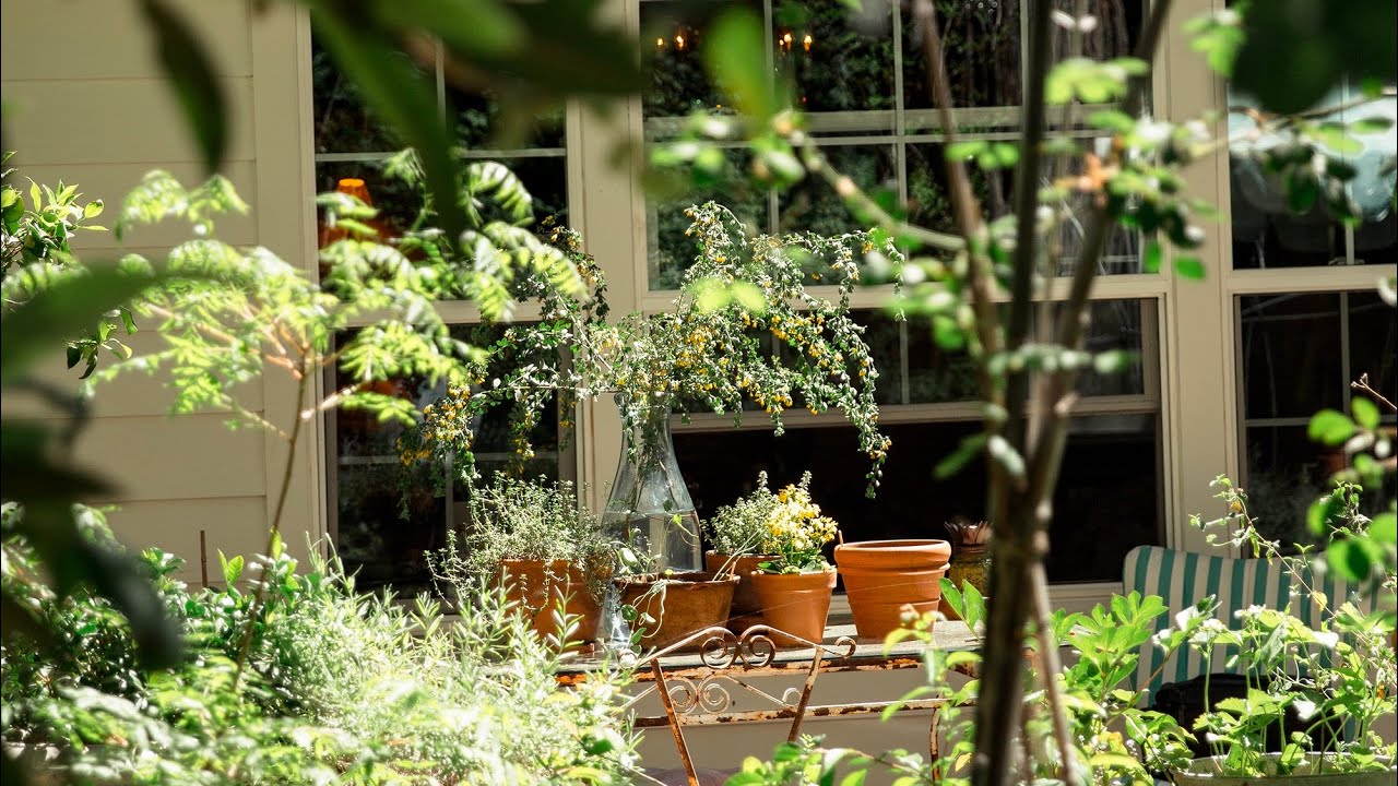 June Gardens at A Schilling Home