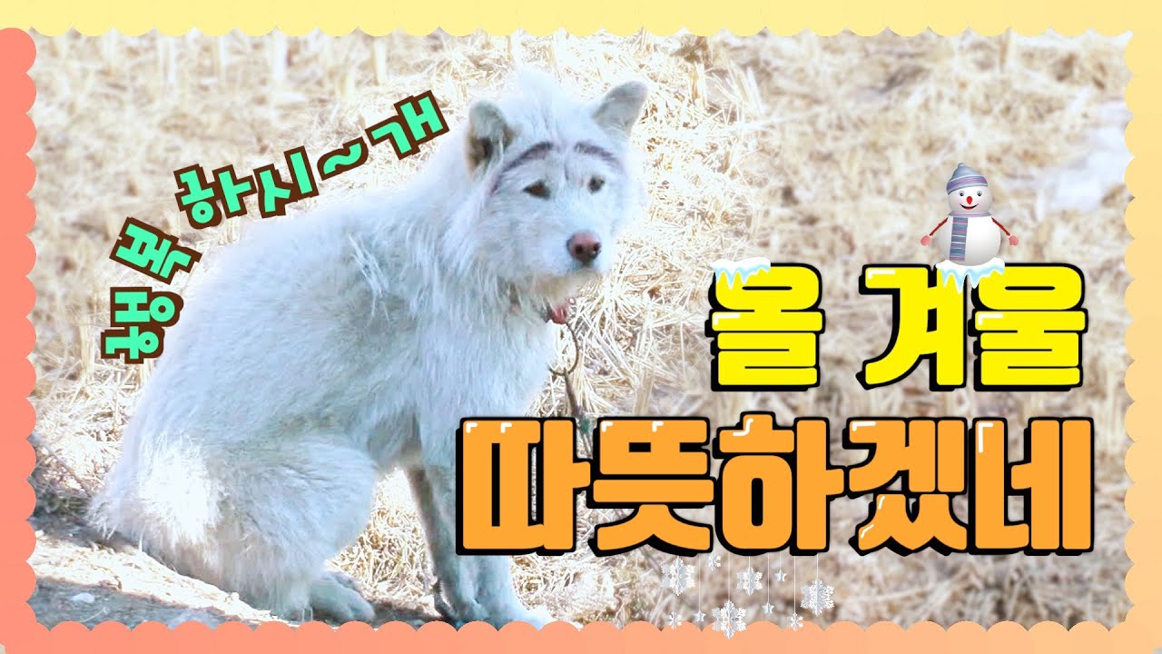 [WATV뉴스] 꽃보다 봉사 2편 - 1석 4조 알짜 봉사 l 하나님의교회 세계복음선교협회