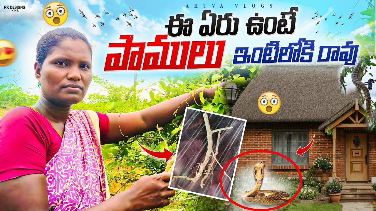 ఈ ఏరు ఉంటే పాములు ఇంటిలోకి రావు 🐍