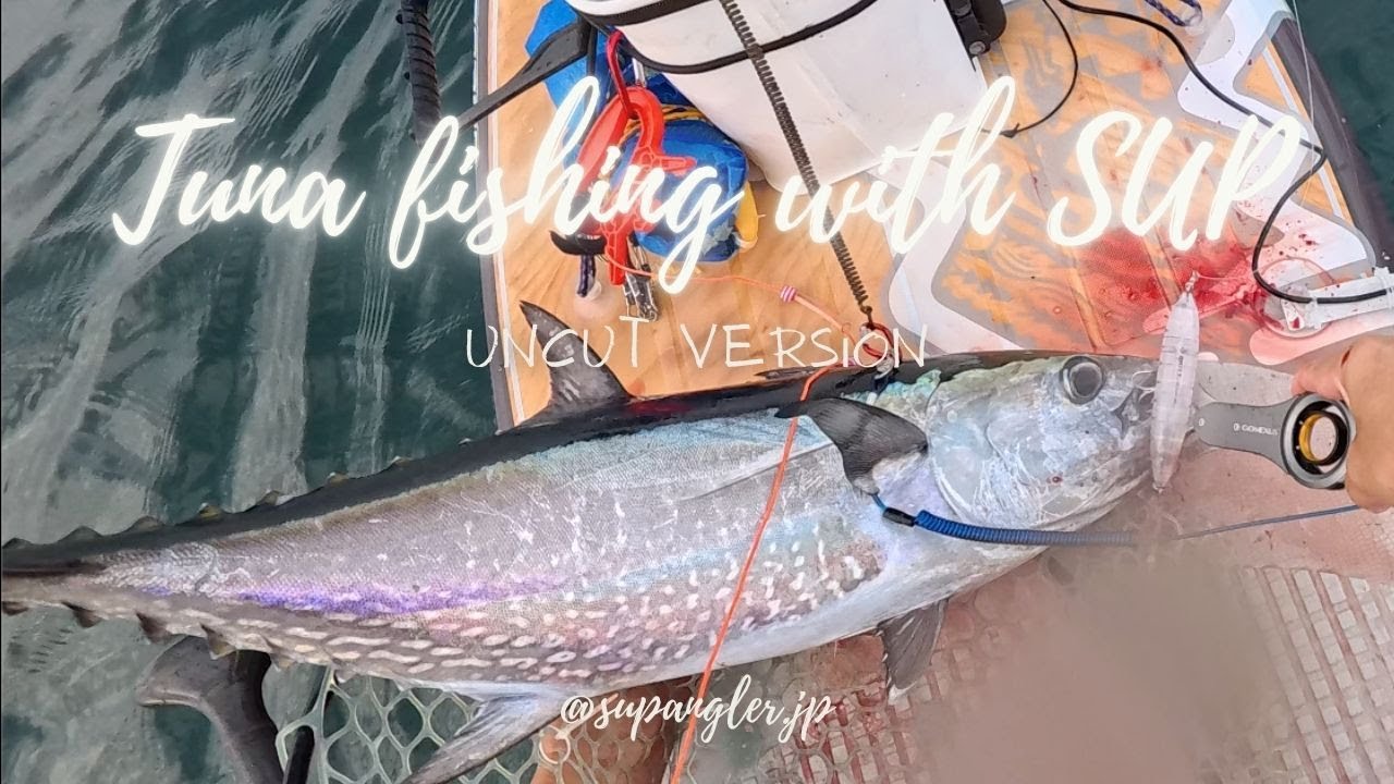 Tuna fishing with SUP (uncut version) SUPfishing