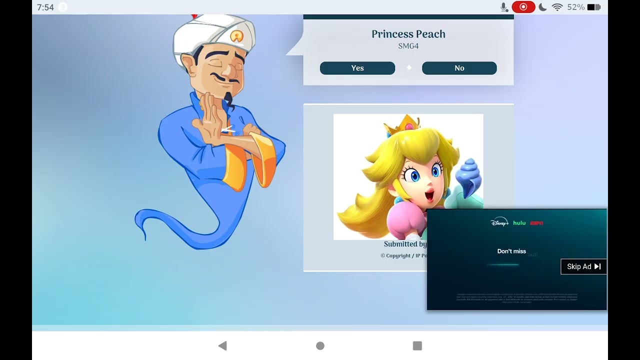 Can Akinator Guess Mario Characters?