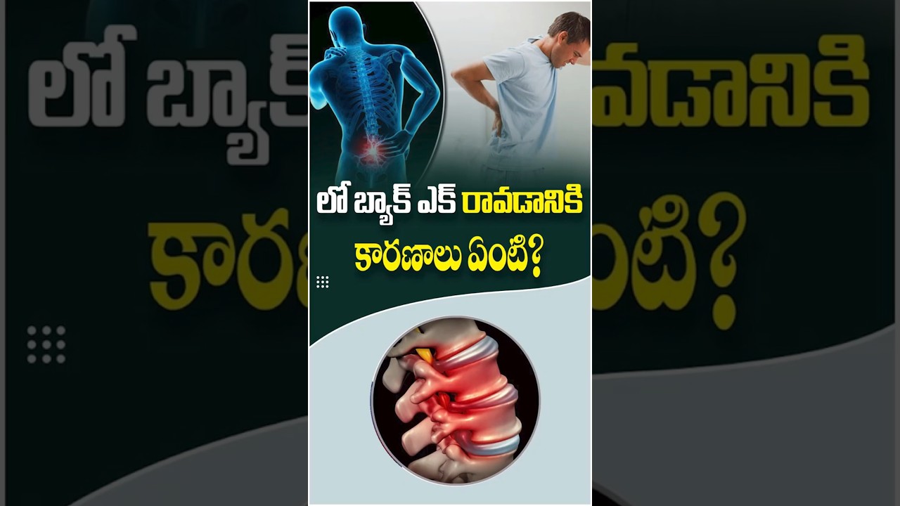 What Are The Reasons For Lower Back Pain In Telugu | Renova #shorts #backpain #renova #yt