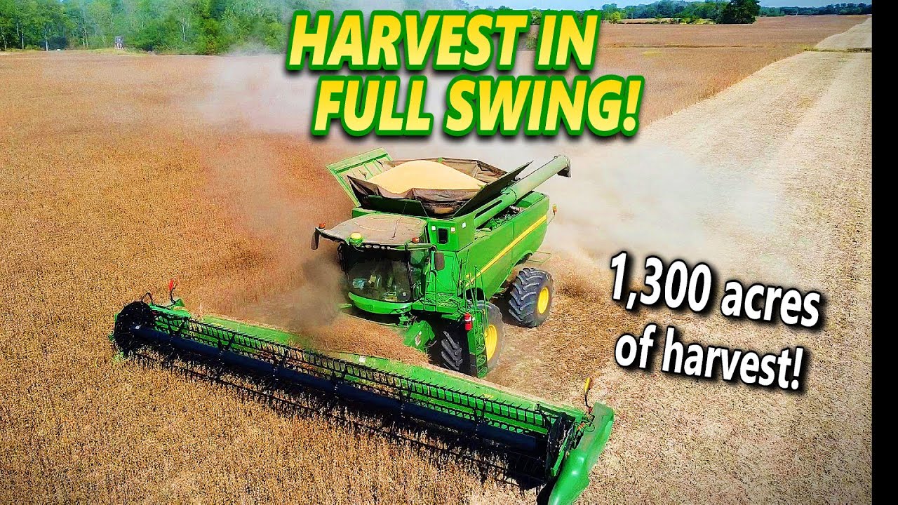Урожай сои 2025 года с потрясающим комбайном John Deere S760