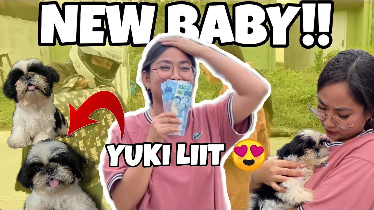 NEW MEMBER OF SHANGPOOCHES! LITTLE YUKI?? (GRABE SELOS NI KIWI)