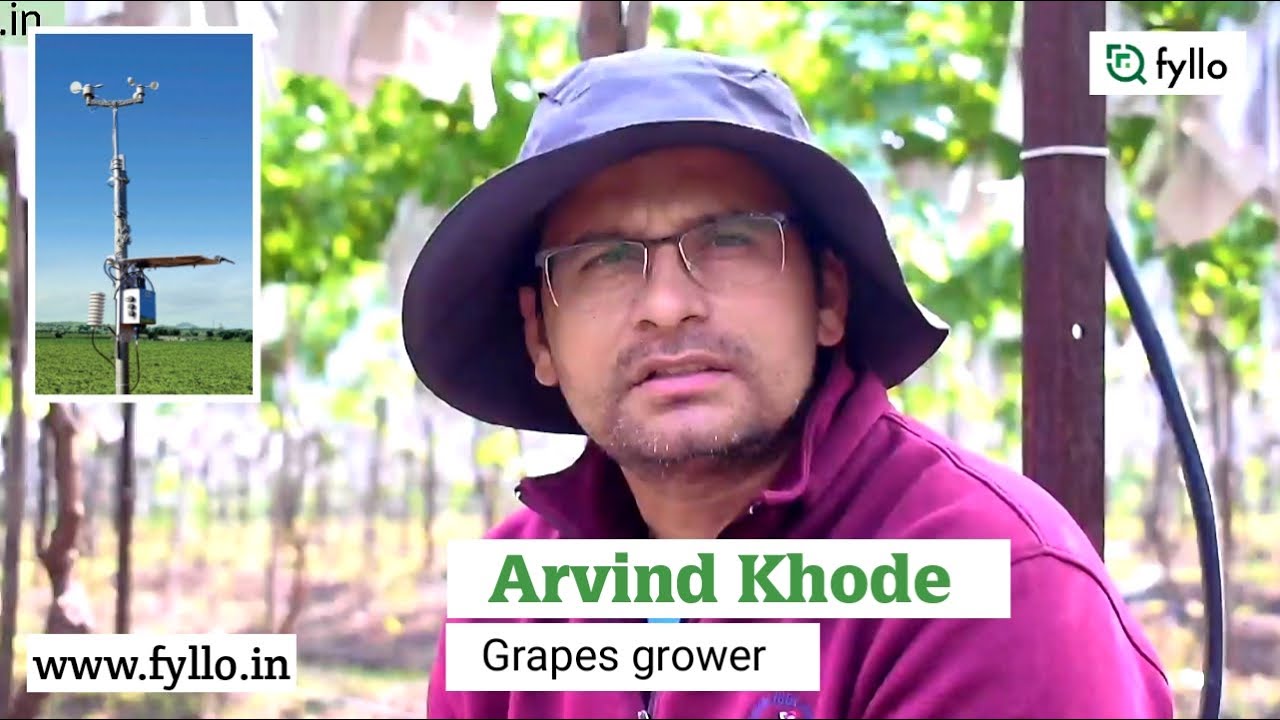 Arvind Khode Fyllo review | Grapes Farmer | Wadala gaon Nashik | #fyllofarmer