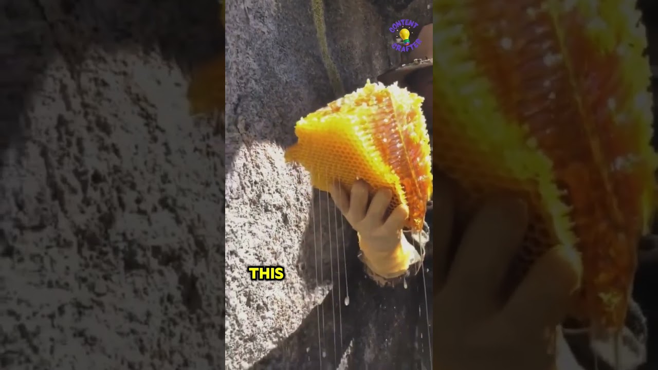 HIMALAYAN BEES & INTOXICATING HONEY: HARVESTING DANGER AT 1000 FEET!