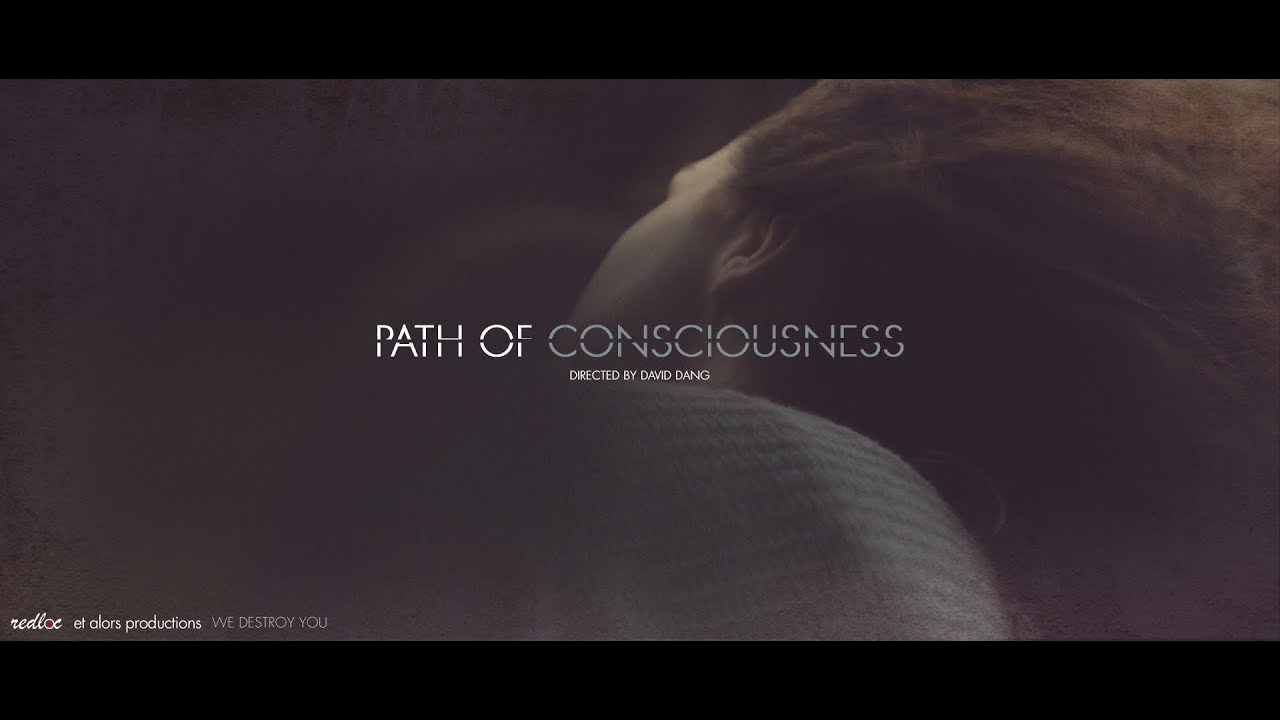 Path of consciousness // shot with M&ouml;vi stabilizer and RED camera