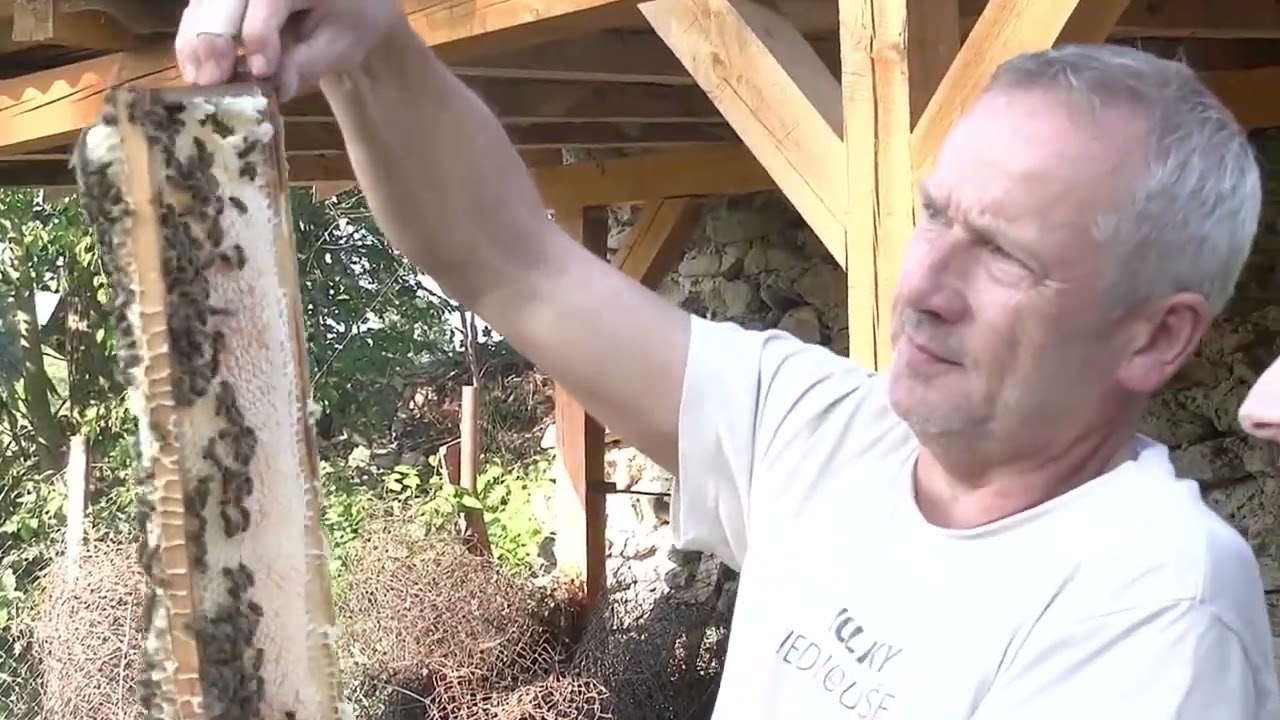 Petr Koc Včelky Jednoduše 1Díl