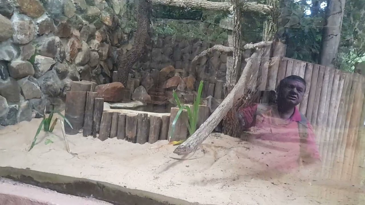 Passeio e informações sobre o parque ecológico de São Carlos São Paulo. 