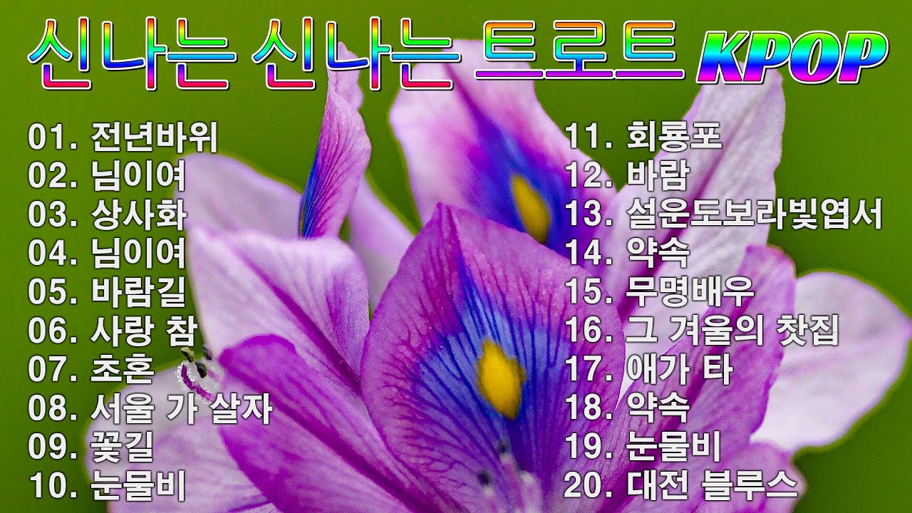 [ NEW ] 신나는 신나는 트로트 KPOP (TROT) PLAYLIST 📀 ( 꽃길.상사화.여인의 눈물.회룡포.바람길...) #kpop