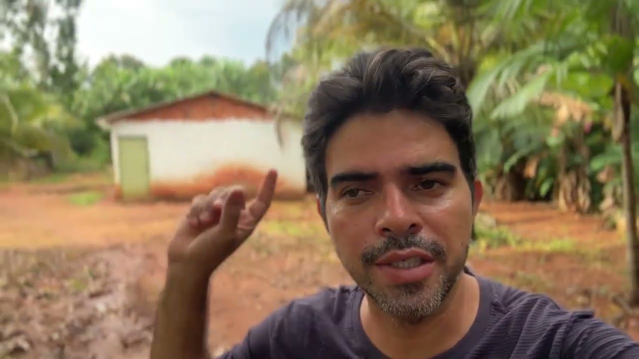 10/02/2026 - meu dia na roça | natureza sensacional | fartura da terra #natureza #tocantins 