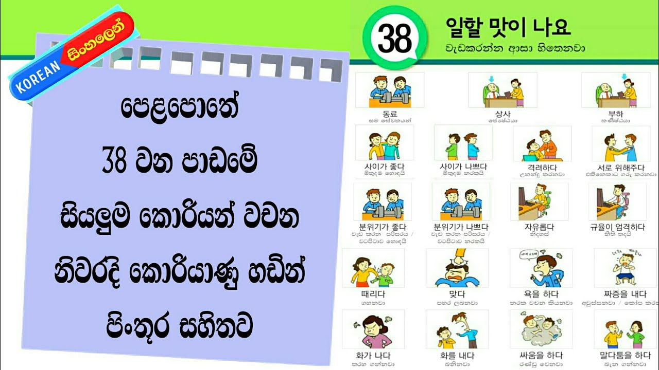Learn Basic Korean Words in Sinhala: Eps Topik Book Lesson 38 Vocabulary with Korean Pronunciation